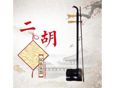 招聘南昌二胡家教老师